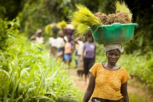 gpi-Liberia-culture