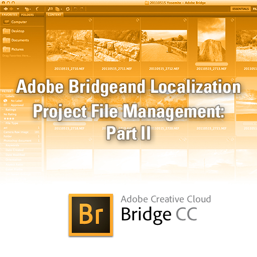 adobe bridge alternative mac for file management adobe bridge alternative mac for file management