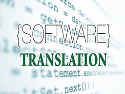 software translation