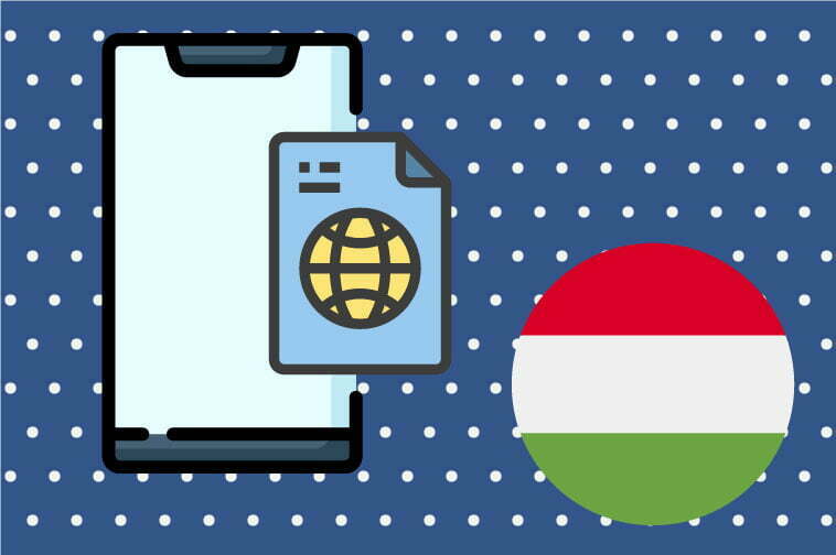 Hungarian Software Translation