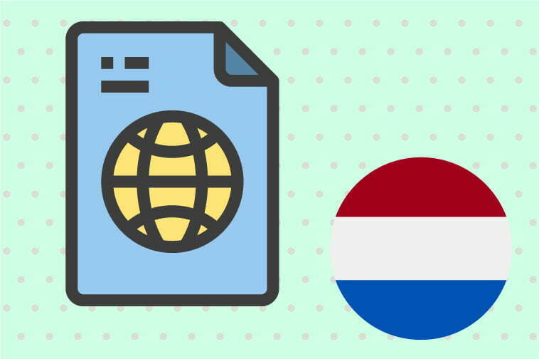 Dutch Document Translation