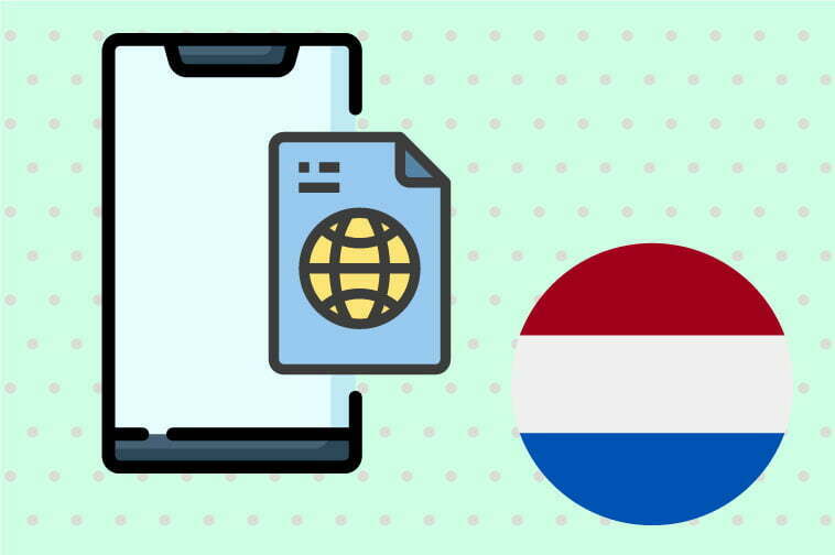 Dutch Software Translation