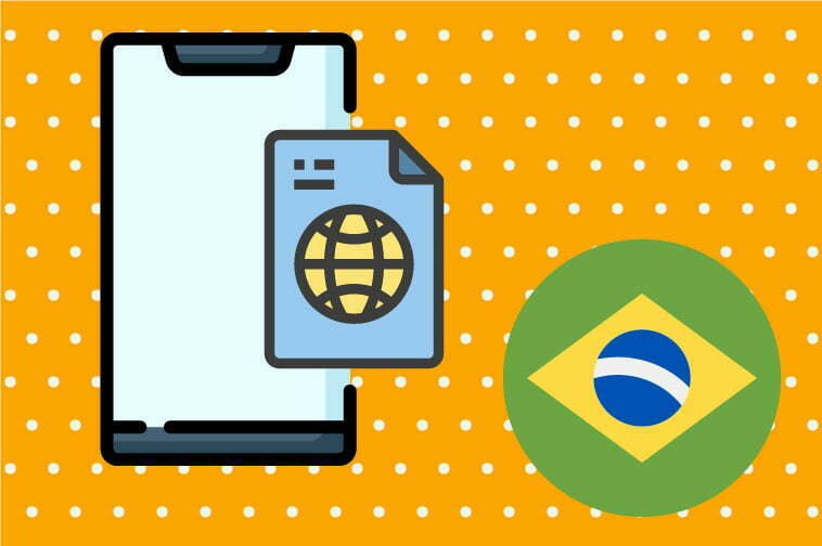 Brazilian Portuguese Software Translation