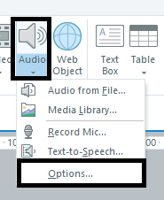 audio options - storyline 360 - GPI blog